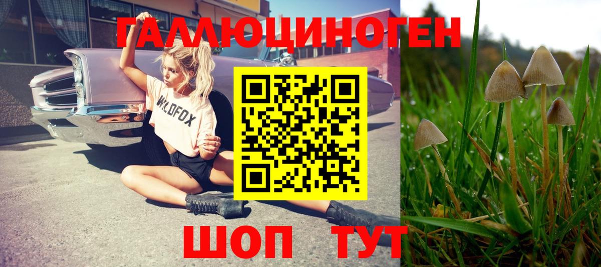 Галлюциногенные грибы ЛСД  закладки  Коммунар  Вход с VPN  Галлюциногенные грибы Psilocybe 